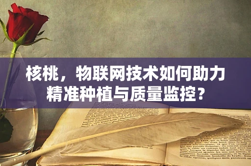 核桃，物联网技术如何助力精准种植与质量监控？