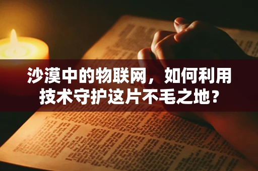 沙漠中的物联网，如何利用技术守护这片不毛之地？