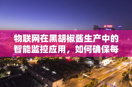 物联网在黑胡椒酱生产中的智能监控应用，如何确保每一滴酱汁的新鲜与安全？