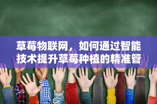 草莓物联网，如何通过智能技术提升草莓种植的精准管理？