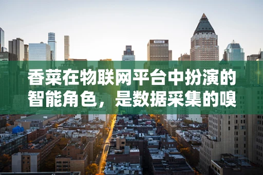 香菜在物联网平台中扮演的智能角色，是数据采集的嗅觉先锋吗？