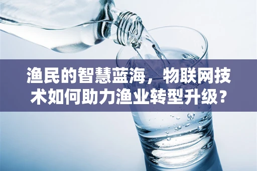 渔民的智慧蓝海，物联网技术如何助力渔业转型升级？