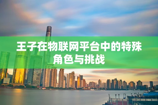 王子在物联网平台中的特殊角色与挑战