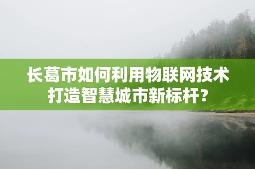 长葛市如何利用物联网技术打造智慧城市新标杆？