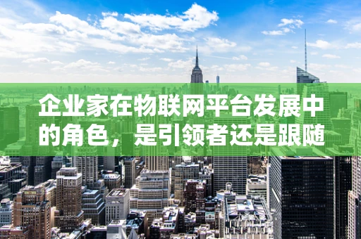 企业家在物联网平台发展中的角色，是引领者还是跟随者？