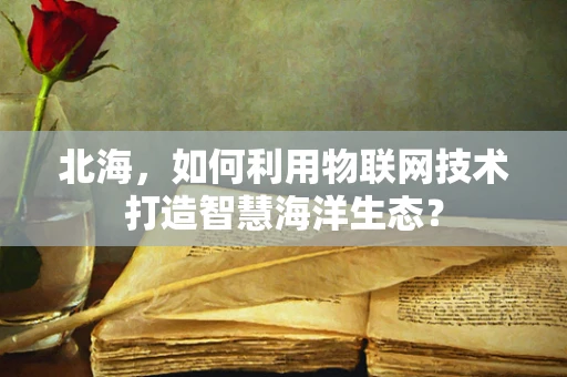 北海，如何利用物联网技术打造智慧海洋生态？