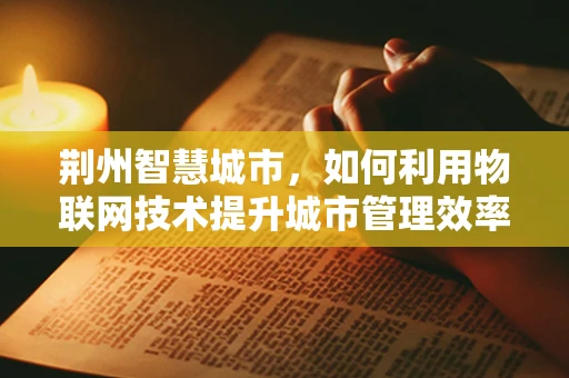 荆州智慧城市，如何利用物联网技术提升城市管理效率？