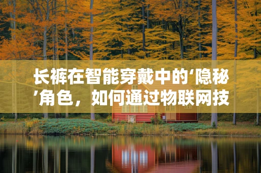 长裤在智能穿戴中的‘隐秘’角色，如何通过物联网技术提升用户体验？