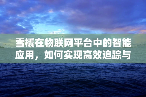 雪橇在物联网平台中的智能应用，如何实现高效追踪与管理？