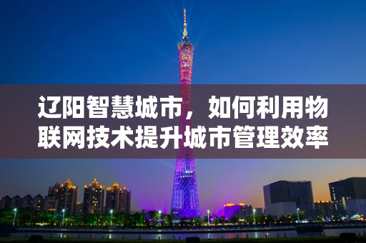 辽阳智慧城市，如何利用物联网技术提升城市管理效率？