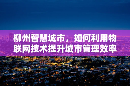 柳州智慧城市，如何利用物联网技术提升城市管理效率？