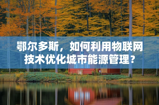 鄂尔多斯，如何利用物联网技术优化城市能源管理？