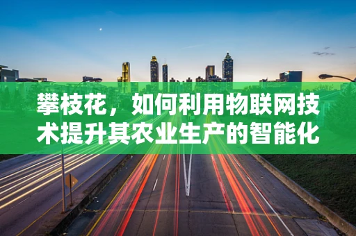 攀枝花，如何利用物联网技术提升其农业生产的智能化与可持续性？