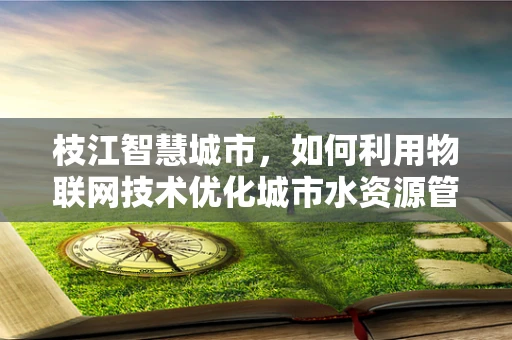 枝江智慧城市，如何利用物联网技术优化城市水资源管理？