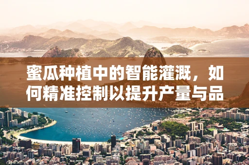 蜜瓜种植中的智能灌溉，如何精准控制以提升产量与品质？