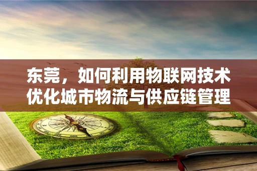 东莞，如何利用物联网技术优化城市物流与供应链管理？