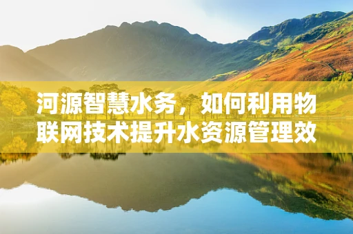 河源智慧水务，如何利用物联网技术提升水资源管理效率？