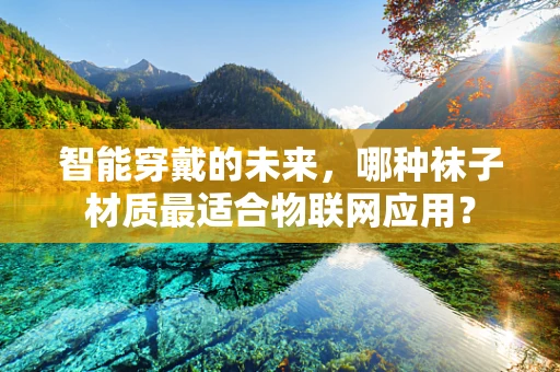 智能穿戴的未来，哪种袜子材质最适合物联网应用？