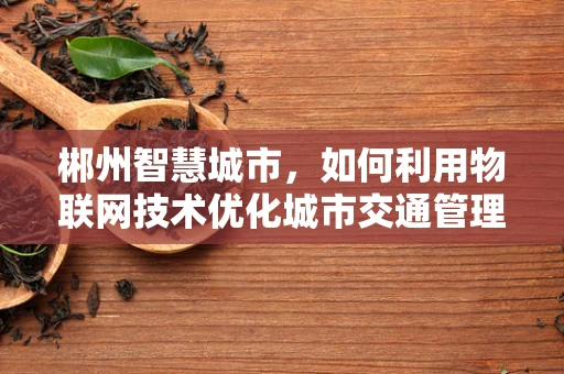 郴州智慧城市，如何利用物联网技术优化城市交通管理？