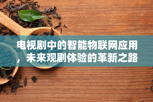 电视剧中的智能物联网应用，未来观剧体验的革新之路？