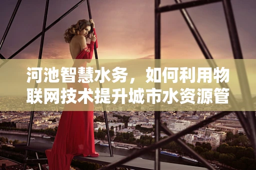河池智慧水务，如何利用物联网技术提升城市水资源管理效率？