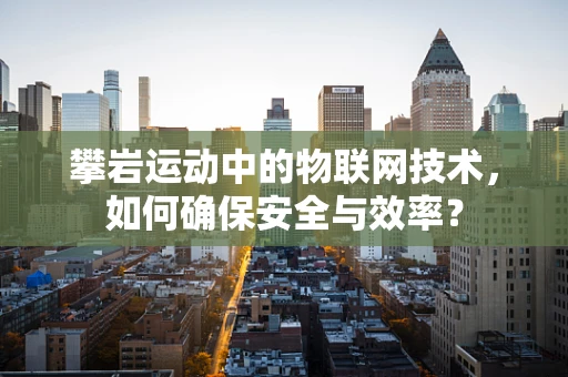 攀岩运动中的物联网技术，如何确保安全与效率？