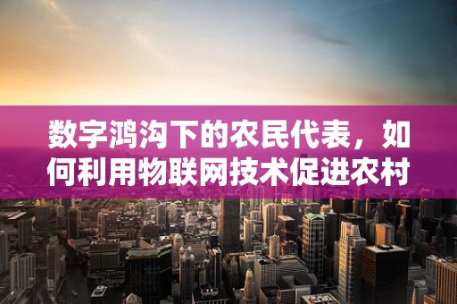 数字鸿沟下的农民代表，如何利用物联网技术促进农村可持续发展？