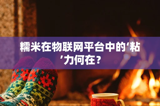 糯米在物联网平台中的‘粘’力何在？