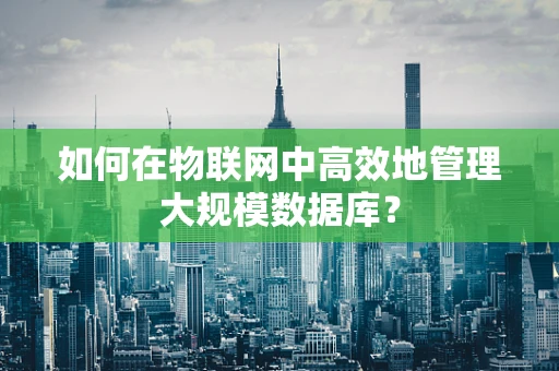 如何在物联网中高效地管理大规模数据库？