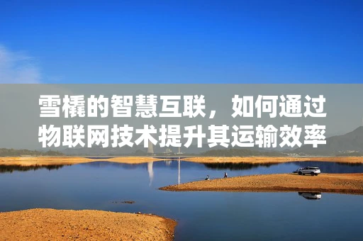 雪橇的智慧互联，如何通过物联网技术提升其运输效率？