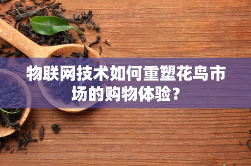 物联网技术如何重塑花鸟市场的购物体验？