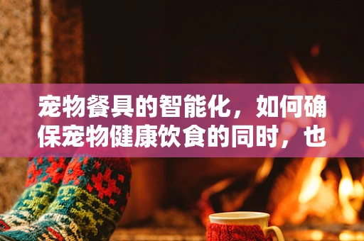 宠物餐具的智能化，如何确保宠物健康饮食的同时，也满足主人的便捷需求？