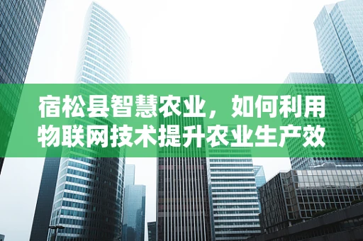 宿松县智慧农业，如何利用物联网技术提升农业生产效率？