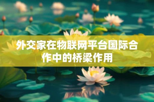 外交家在物联网平台国际合作中的桥梁作用