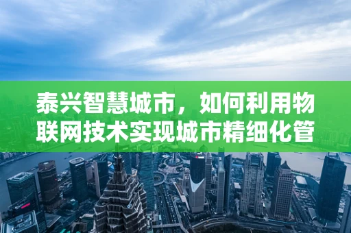 泰兴智慧城市，如何利用物联网技术实现城市精细化管理？