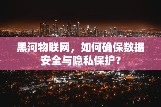 黑河物联网，如何确保数据安全与隐私保护？