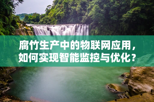 腐竹生产中的物联网应用，如何实现智能监控与优化？