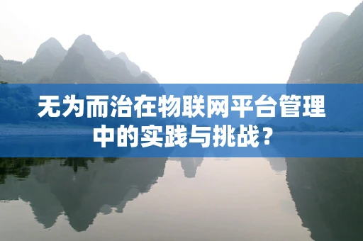 无为而治在物联网平台管理中的实践与挑战？