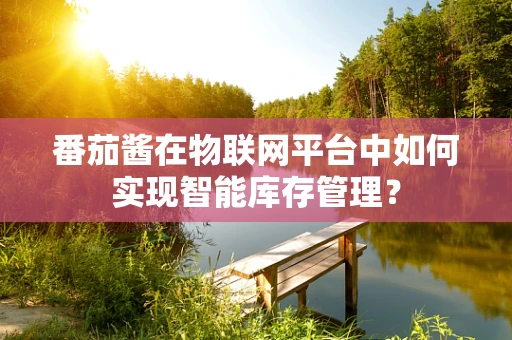 番茄酱在物联网平台中如何实现智能库存管理？