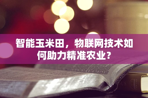 智能玉米田，物联网技术如何助力精准农业？