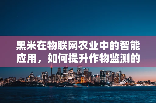 黑米在物联网农业中的智能应用，如何提升作物监测的精准度？