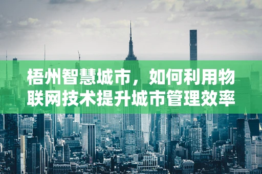 梧州智慧城市，如何利用物联网技术提升城市管理效率？