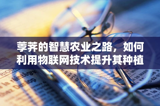 荸荠的智慧农业之路，如何利用物联网技术提升其种植效率？