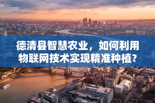 德清县智慧农业，如何利用物联网技术实现精准种植？