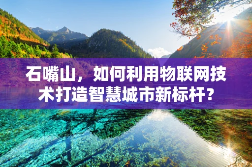 石嘴山，如何利用物联网技术打造智慧城市新标杆？