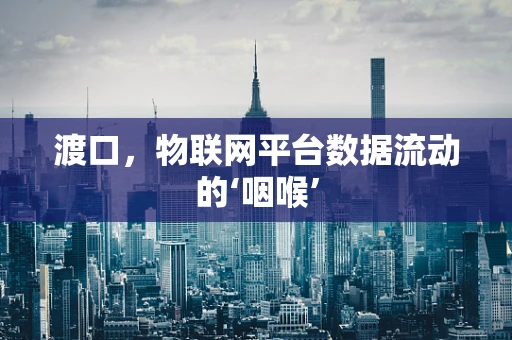 渡口，物联网平台数据流动的‘咽喉’