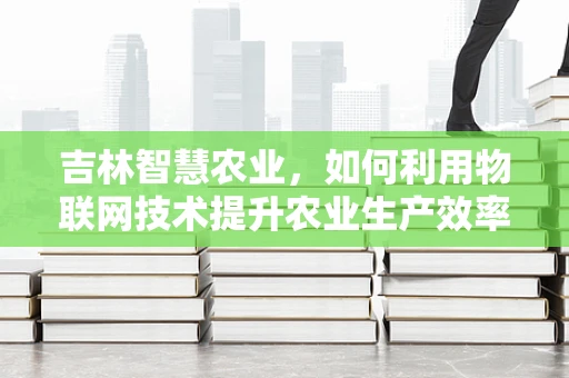 吉林智慧农业，如何利用物联网技术提升农业生产效率？