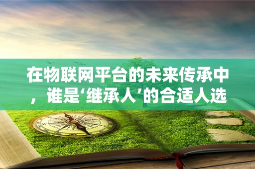 在物联网平台的未来传承中，谁是‘继承人’的合适人选？