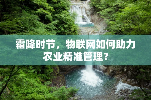 霜降时节，物联网如何助力农业精准管理？