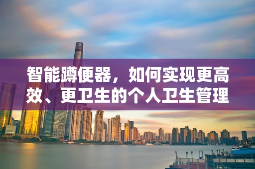 智能蹲便器，如何实现更高效、更卫生的个人卫生管理？